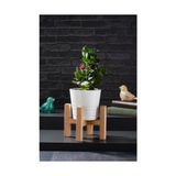 TeknoKapsül Mini Saksı Ayağı Saksı Standı 15X11 cm Ahşap Saksılık Kaktüs Sukulent Saksılığı - 15 x 11 cm