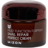 TeknoKapsül Mizon Snail Repair Perfect Cream Salyangoz Özlü Nemlendirici Yüz Kremi 50 Ml, H3448AXNS