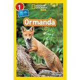 TeknoKapsül National Geographic Kids - Ormanda: Seviye 1 (Kapak Değişebilir) - Option-1