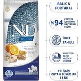TeknoKapsül N&d Düşük Tahıllı Ocean Morina Balıklı Portakallı Yetişkin Köpek Maması 12 kg