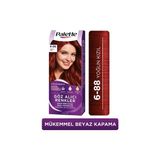 TeknoKapsül Palette Saç Boyası Renkler Colors 6/88 Yoğun