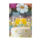 TeknoKapsül Papatya Tema Happy Birthday Mum Seti 4lü Papatya Doğum Günü Pasta Mum Seti