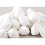 TeknoKapsül PAŞAZADE MEVLANA ŞEKER 300 GR BZ-8680925020813