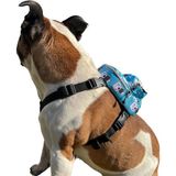 TeknoKapsül Pawlook, Köpek Sırt Çantası – Geri Dönüştürülmüş Malzeme, Su Geçirmez, Göğüs Tasması Fonksiyonlu, Ayarlanabilir,çantalı Göğüs Tasması,cute,small
