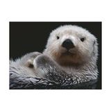 TeknoKapsül Puzzle 16980 - Tatlı Küçük Otter - 500 Parça Yapboz 10 Yaşından Büyük Çocuklar ve Yetişkinler Için, Hayvan Motifli Yapboz - 01-Mavi