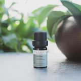 TeknoKapsül Radika Aromaterapi Çay Ağacı Uçucu Yağı - Organik 5ml - Ahşap - Bej