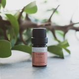 TeknoKapsül Radika Aromaterapi Greyfurt Uçucu Yağı - Organik 5ml - Ahşap - Bej