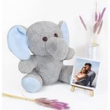 TeknoKapsül Şövaleli Ayıcık,çerçeveli Pelüş Ayıcık,ofis Hediyesi Fotoğraflı Ayıcık,20-25 cm Ayıcık,civciv,eşek,,inek,fil,,tavşan,hediye (Fil) - 01-Mavi