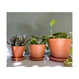 TeknoKapsül Terracotta Savana Saksı+Tabak • Yeşil Sarı (Orta)