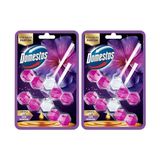 TeknoKapsül Tuvalet Bloğu Aroma Lux Hibiskus & Kırmızı Meyveler 100 G (2 Paketi)