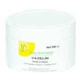 TeknoKapsül Vazelin Renkli ve Kokulu 100 ml - Belirtilmemiş