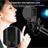 TeknoKapsül Yanmai Bilgisayar Standlı Mikrofon Profesyonel Podcast Mikrofon Kiti Tak Çalıştır USB Kablolu Pc Dizüstü Bilgisayar Için Vlog Canlı Yayın (Micpro X2) - Option-1 - 001-Renkli