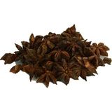 TeknoKapsül Yıldız Anason Doğal 100 gr Paket