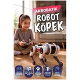 Teknoloji Gelsin Robot Dog Akıllı Robot Köpek – 2.4ghz Uzaktan Kumandalı, 360° Omni Tekerlekli, Drift ve Akrobatik Hareketli, Işık ve Ses Efektli Oyuncak AI Robot Dog