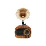 Teknonow B5 Nostaljik Mini Gramafon Radyo - Kahverengi