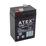Teknoparkx Kalın Kuru Akü 6V-4AH Amper 70X48X101MM (4887)