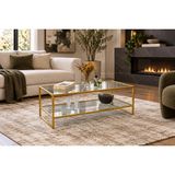 Teknor Şeffaf Camlı Gold Orta Sehpa Çift Raflı Modern Tasarım 90*50*46 cm