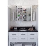 Teknotrust Tekno Trust Beyaz 2 Kapaklı Aynalı Banyo Dolabı Çok Amaçlı Banyo Dolabı Üst Modül Aynalı 60 x 65 X15 60 x 60 2