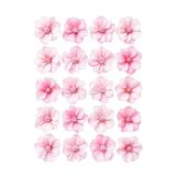 telaşe memuru Yenilebilir Açık Pembe Çiçek Pasta Süsü - Yenilebilir Pasta Süsü - Çiçek Baskısı - Model 2