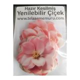 telaşe memuru Yenilebilir Çiçek Pasta Süsü - Manolya Yenilebilir Kağıt Pasta Süsü