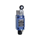 Telemecanique Sensors XCKJ390511H29EX Atex Makaralı Limit Switch
