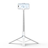 Telesin Tripod & Selfie Stick (1.7M)