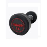 Temfitness Kauçuk Kaplı Olimpik Dambıl 2.5 KG
