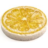 Temmiz Magic Sponge Sihirli Sünger Limon Desenli