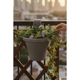 TEMMUZ HOME 1 Adet 3 Lt Tombul Dalgalı Küpeşte Korkuluk ve Balkon Saksısı(İlan Saksı İçindir)