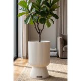 Temmuz Home 1 Adet 5 Litre Büyük Boy Çizgili Ayaklı Saksı - Lotus 2 No (Deliksiz Bir Saksıdır) - Beyaz