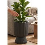 Temmuz Home 1 Adet 5 Litre Büyük Boy Çizgili Ayaklı Saksı - Lotus 2 No (Deliksiz Bir Saksıdır) - Siyah
