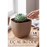 TEMMUZ HOME 1 Adet Mercan Kare Saksı Dekoratif Kaktüs Ve Çiçek Saksısı 3 No