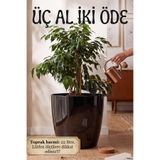 TEMMUZ HOME “1 Adet No:5 –22 Litre Tabaksız Drenaj Izgaralı, Büyük Boy Dekoratif Bitki ve Çiçek Saksısı