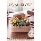 TEMMUZ HOME 1 No 0.55 Litre Uzun Mercan Kaktüs Sukulent Ve Çiçek Saksısı