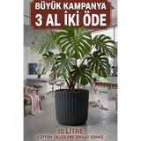 TEMMUZ HOME 15.5 Lt. 1 Adet Tabaklı Büyük Boy Plastik Çiçeklik - Salon & Ofis Dekoratif Saksı