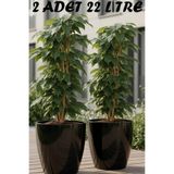 TEMMUZ HOME “2 Adet 22 Litre Tabaksız Drenajlı Izgaralı, Büyük Boy Dekoratif Bitki ve Çiçek Saksısı(İlan Saksı İçindir)