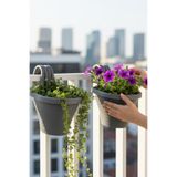 TEMMUZ HOME 2 Adet 3 Lt Tombik Dalgalı Küpeşte Korkuluk ve Balkon Saksısı(İlan Saksı İçindir)