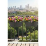 TEMMUZ HOME 2 Adet 6.5 Lt Tombik Dalgalı Küpeşte Korkuluk ve Balkon Saksısı
