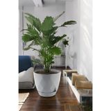 TEMMUZ HOME 26 Litre Prizma Desenli Dekoratif Büyük Boy Tabaklı Plastik Saksı Yakamoz No7