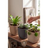 TEMMUZ HOME 3 Adet 1.8 Litre Üç Renkli Mercan Kare No3 Saksı Plastik Bitki Çiçek Kaktüs Saksısı 15x13cm