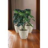 TEMMUZ HOME 3 Adet 9.2 Litre Dekoratif Prizma Desenli Büyük Boy Tabaklı Plastik Saksı Yakamoz No5 27.5cm 24cm