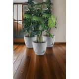 TEMMUZ HOME 3 Adet 9.2 Litre Dekoratif Prizma Desenli Büyük Boy Tabaklı Plastik Saksı Yakamoz No5