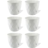 Temmuz Home 6 Adet 0.65 Lt Çiçek ve Kaktüs Saksısı beyaz