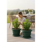 TEMMUZ HOME 7 No Villa Tabaklı Yuvarlak Çiçek ve Bitki Saksısı Seti (İlan Saksı İçindir) 8.8 LİTRE