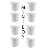 TEMMUZ HOME 8 Adet Küçük Boy Parlak Renkli Baklava Desenli Tabaklı Plastik Saksı Yakamoz No 0 Mini Boy. 0.30 Litre