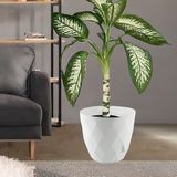 Temmuz Home 9.2 Litre Dekoratif Prizma Desenli Büyük Boy Tabaklı Plastik Saksı Yakamoz No5 - Beyaz