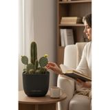 TEMMUZ HOME Büyük Boy Modern Sukulent Kaktüs Ve Çiçek Saksısı Kare 4lt