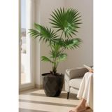 TEMMUZ HOME Büyük Boy Yakamoz Saksı 26 itre İç ve Dış Mekan Saksı.