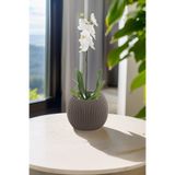TEMMUZ HOME Kaktüs Ve Çiçekler Için Dekoratif Ve Şık Mercan Saksı Orta Boy No2 Kahve
