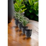 TEMMUZ HOME No 1 4 Adet Küçük Boy Baklava Desenli Tabaklı Plastik Saksı Yakamoz No1